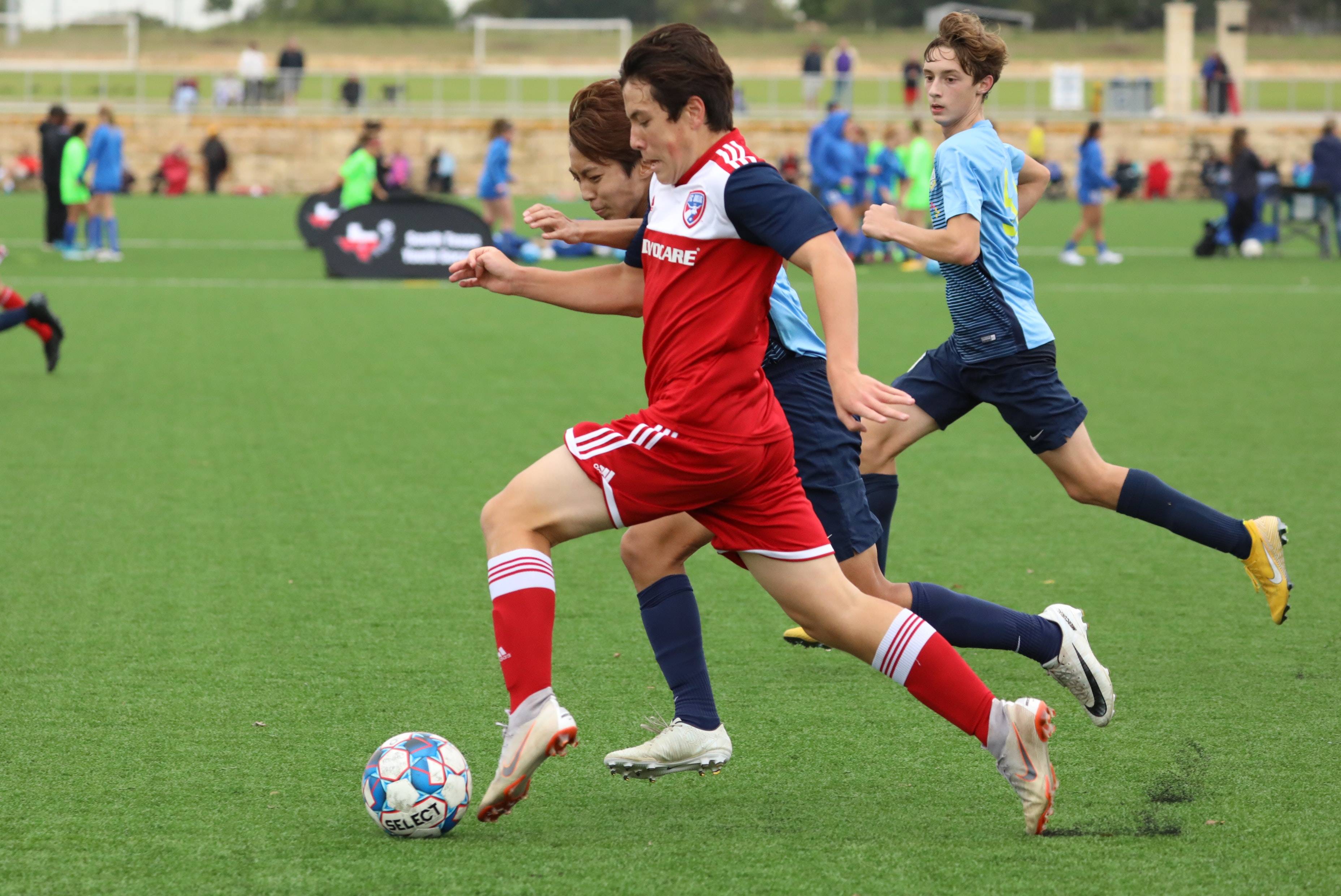 以安特卫普 以安特卫普